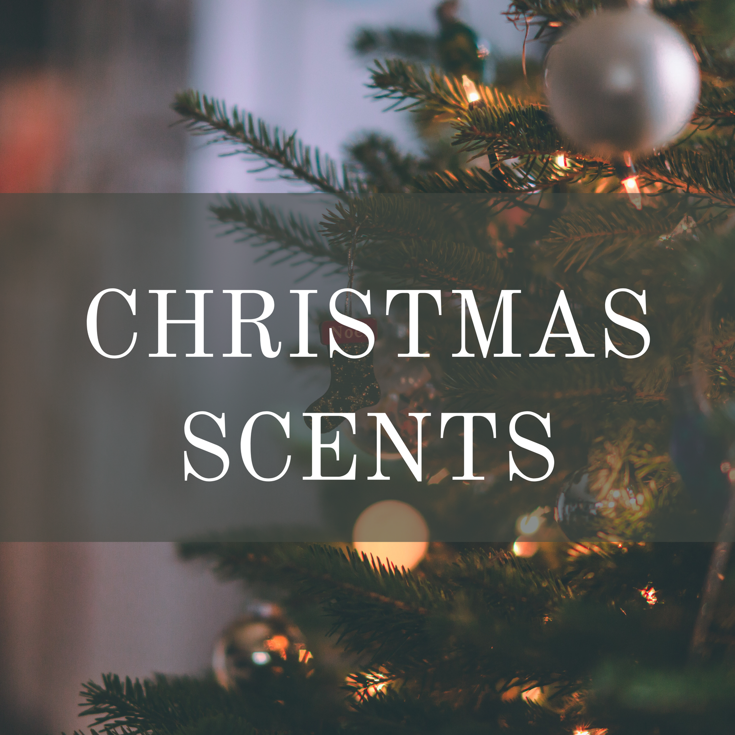 Christmas Scents