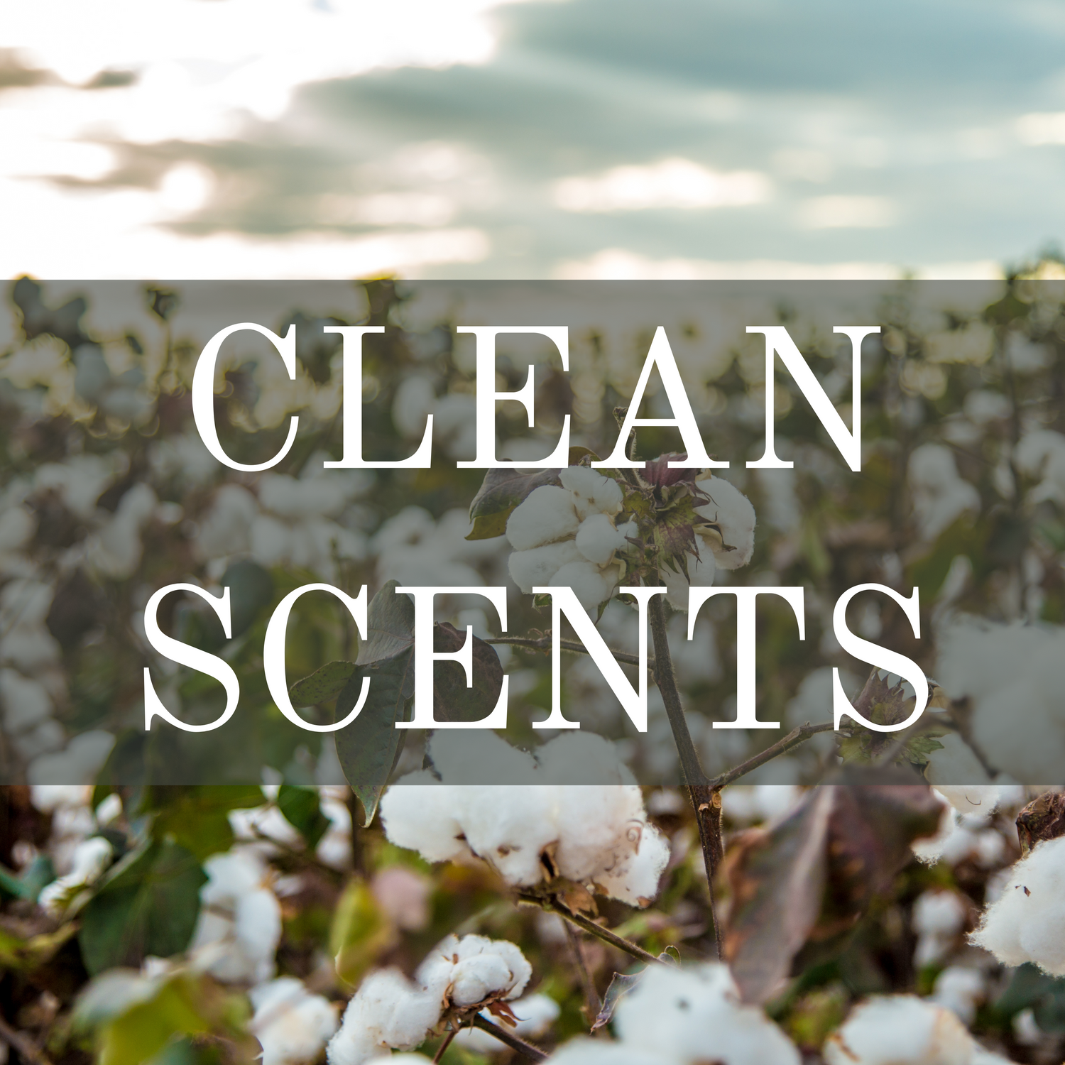 Clean Scents