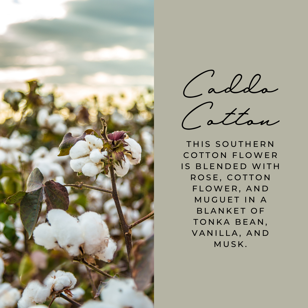 Caddo Cotton