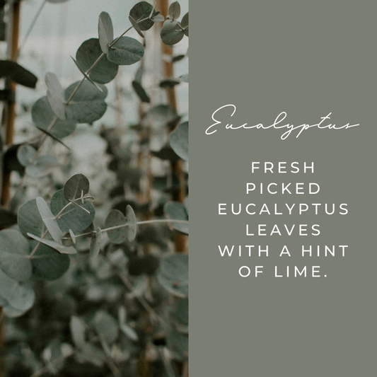 Eucalyptus