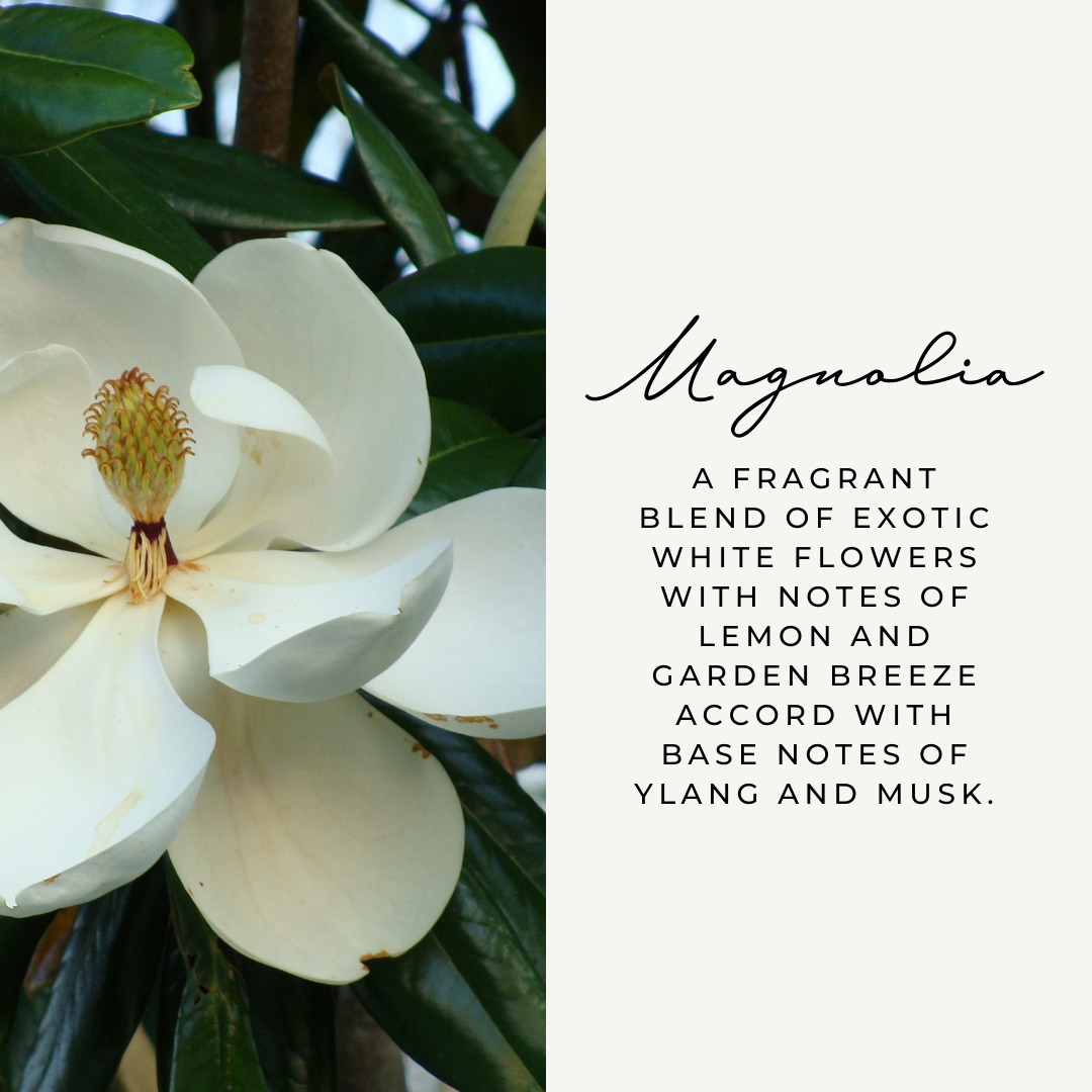 Magnolia