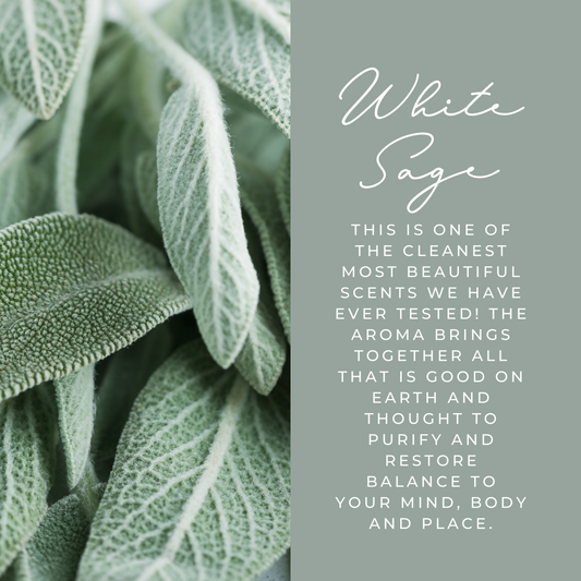 White Sage