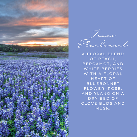 Texas Bluebonnet